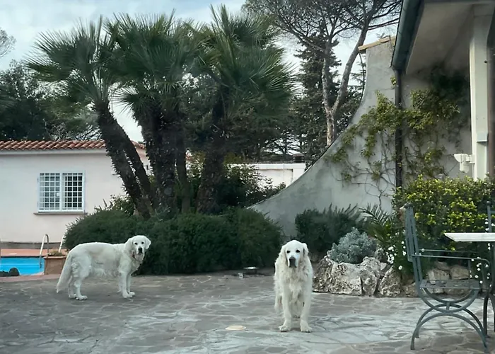 Villa Di Lusso Con Piscina *